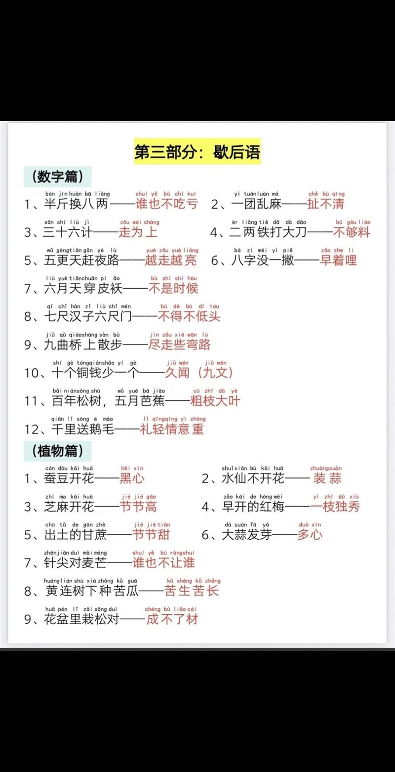 2025年1月28日 第5页