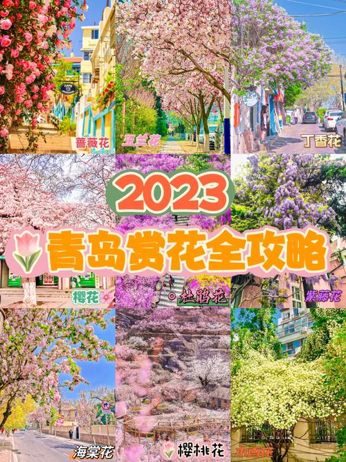 今日科普一下！澳门2023精准一肖一码马兰,百科词条爱好_2024最新更新